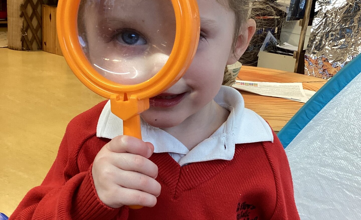 Image of Animals from warm  climates